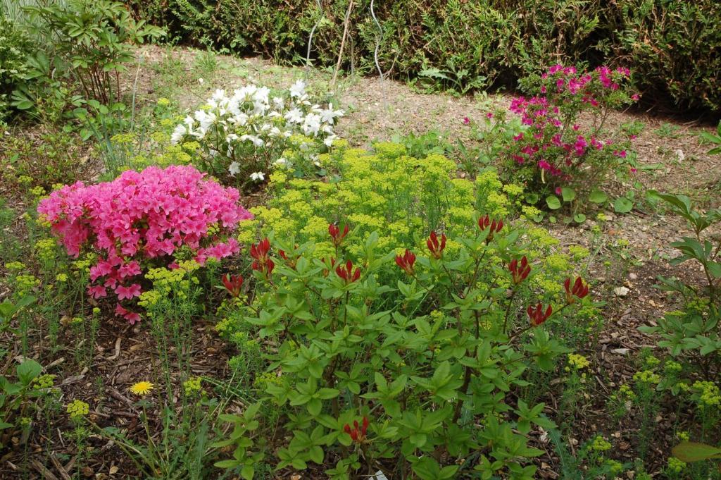 D'hotes Les Coquelicots Bed & Breakfast